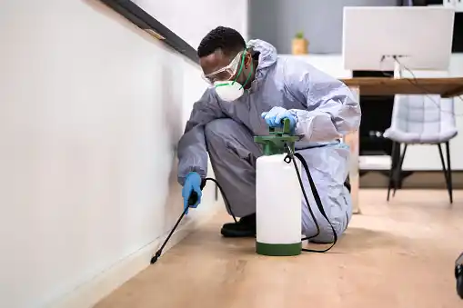 pest control Bayway Isles